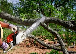 Best Utility Line Clearance  in Rankin, TX